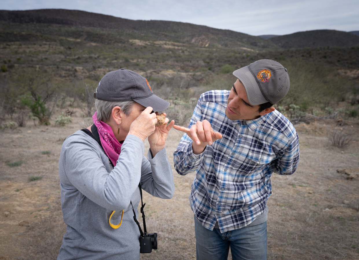 Two volunteers take a close look at plant matter found on the reserve